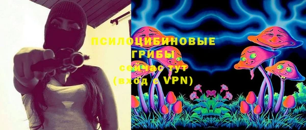 амф Вязьма